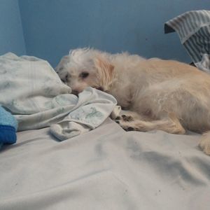 Meet your Posher, Brian david